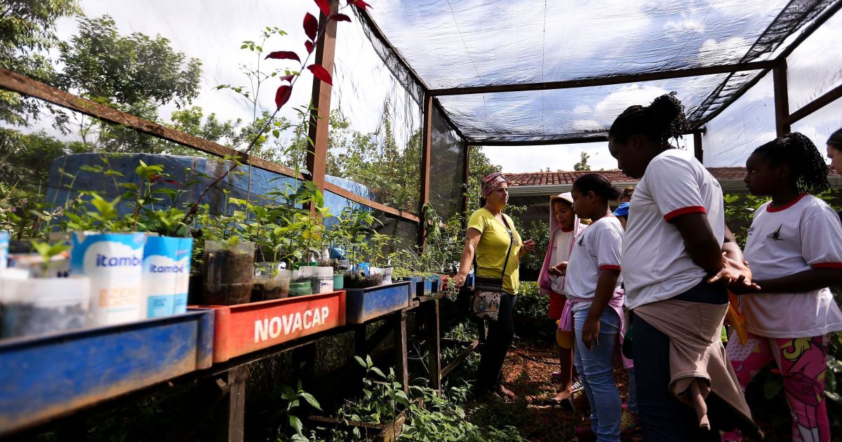 Programa Movimento Sustentável ensina educação socioambiental com saberes locais para mais de 2 mil estudantes