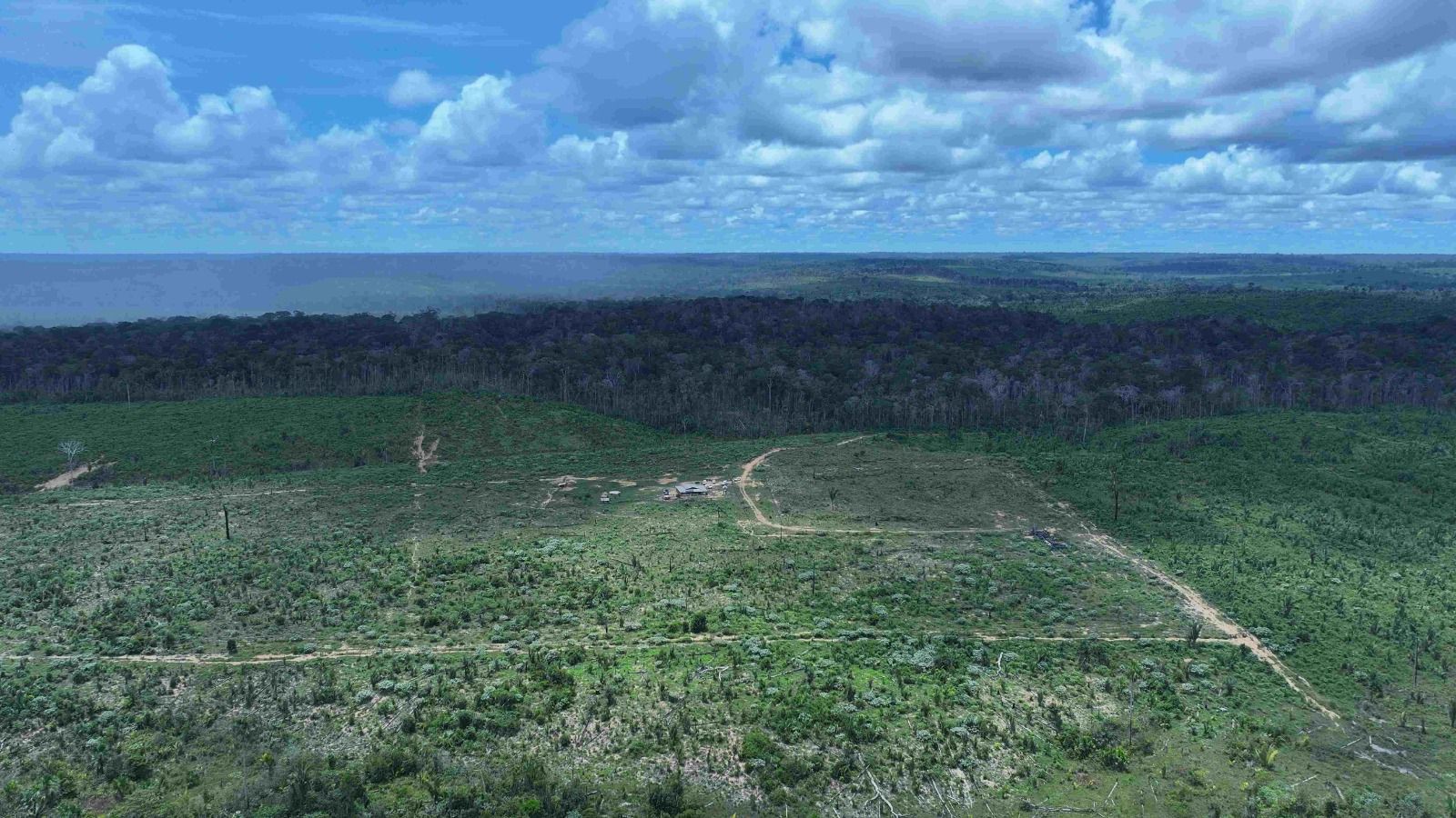 Câmara aprova projetos que fragilizam fiscalização ambiental; Senado decide futuro