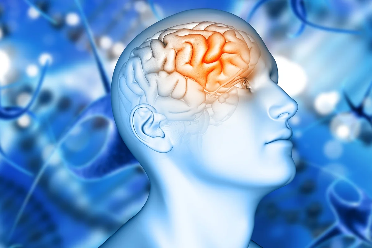 Pesquisadores identificam proteína que acelera o desenvolvimento do Alzheimer