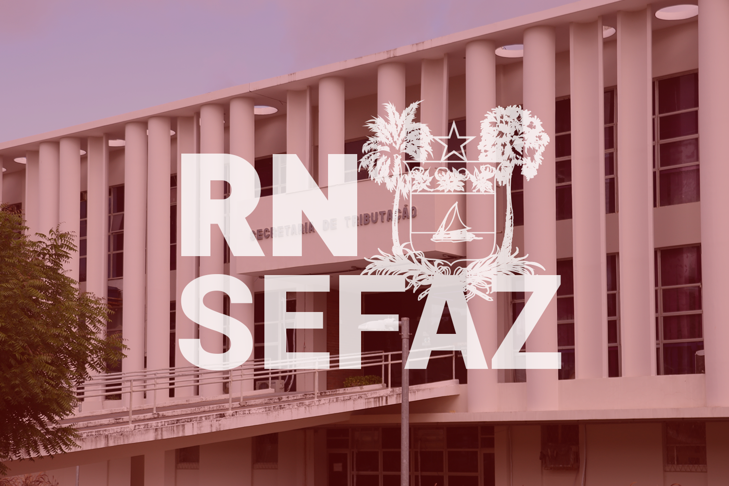 Governo RN divulga resultados de Auditor Fiscal e convoca cotistas