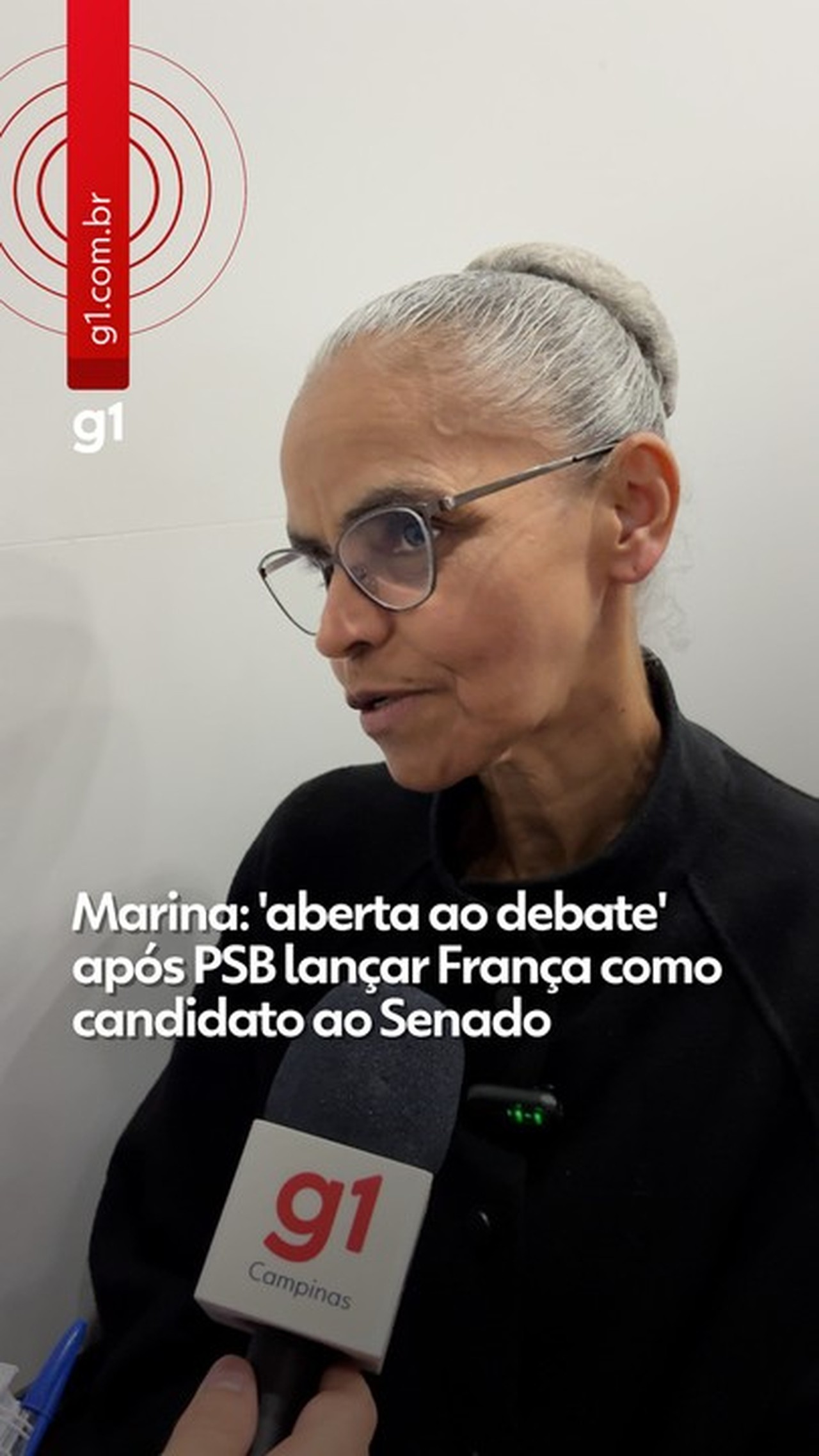 Partido Verde em São Paulo apoia Marina Silva ao Senado