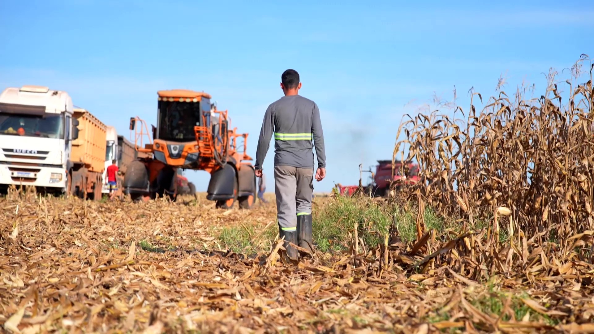 Mato Grosso é o único estado do Brasil com maioria de homens solteiros