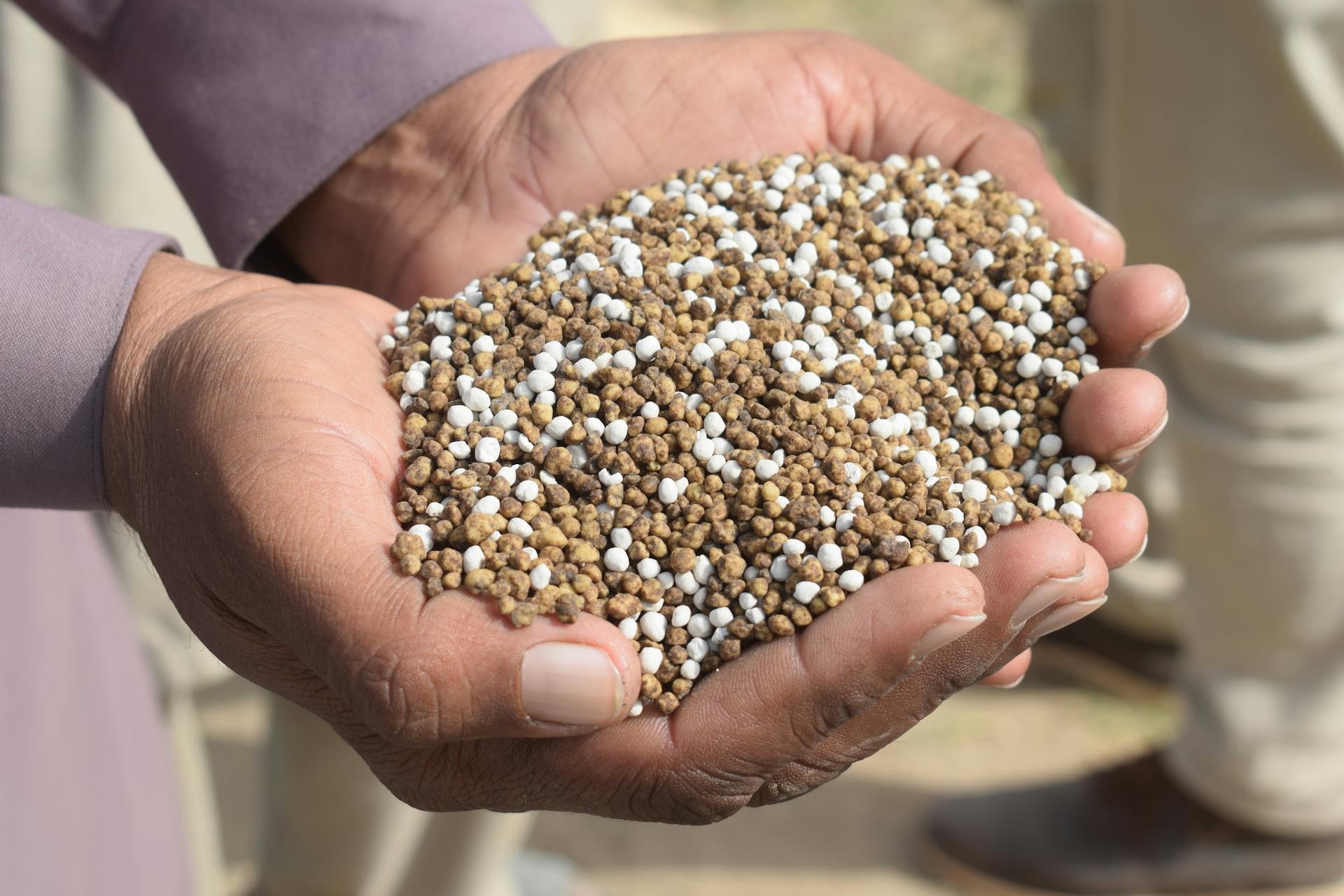 Quase metade dos fertilizantes brasileiros vem de zonas de guerra, aponta Cogo