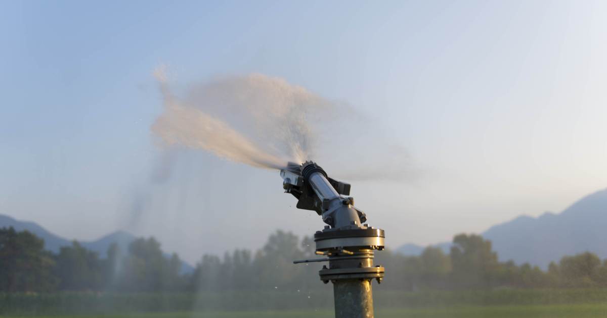 Abimaq e ESALQ/USP: Irrigação impulsiona PIB rural em até 256%
