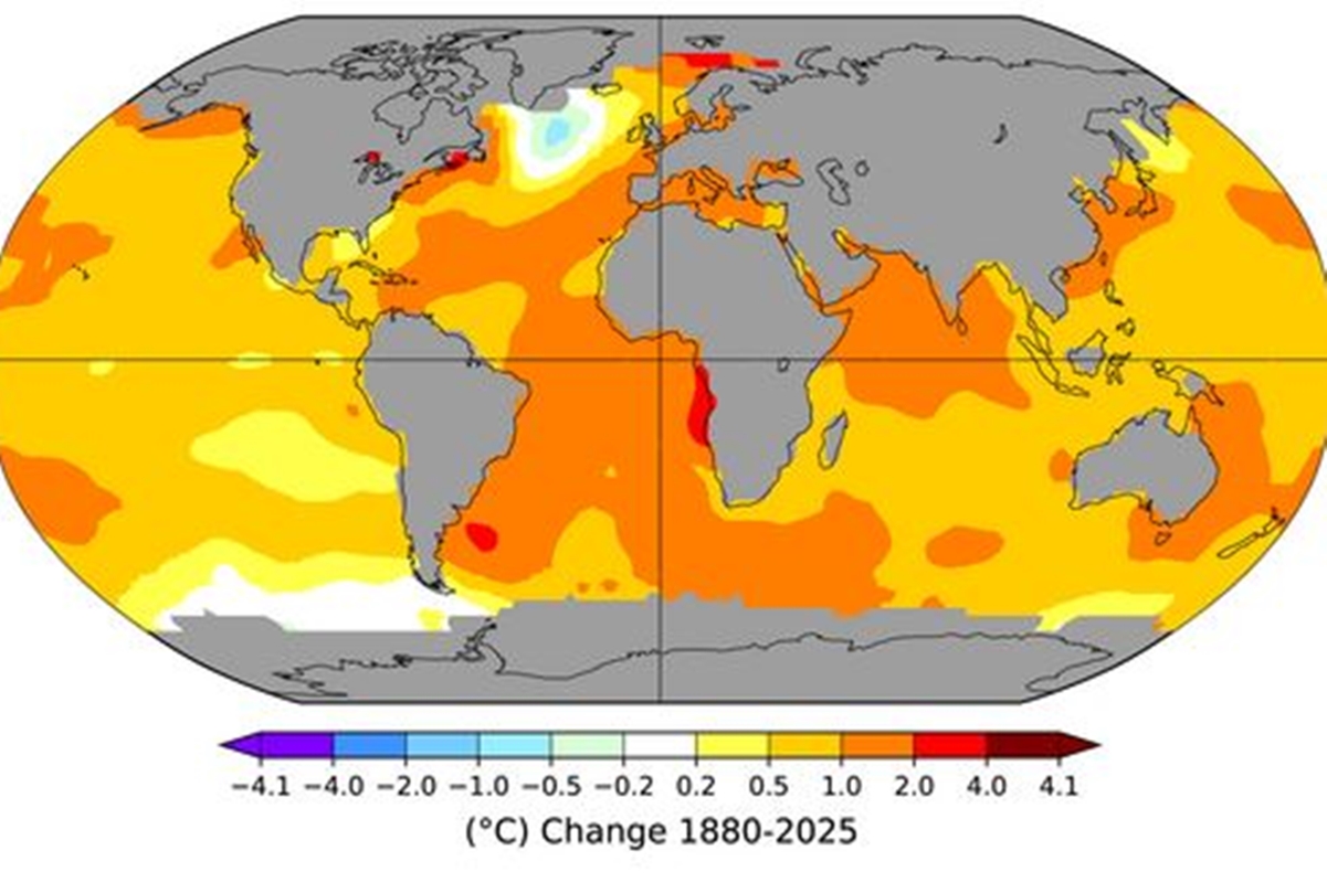Resfriamento de mancha fria no Atlântico Norte sinaliza enfraquecimento de corrente oceânica vital, alertam cientistas