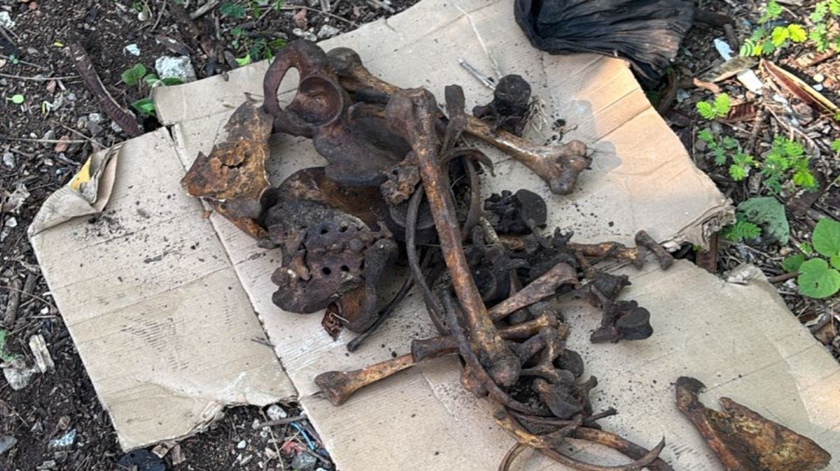 Tiroteio em Rio das Pedras após descoberta de cemitério clandestino