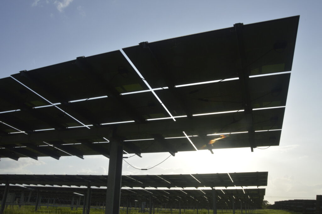 Potiguares abraçam a energia solar e economizam