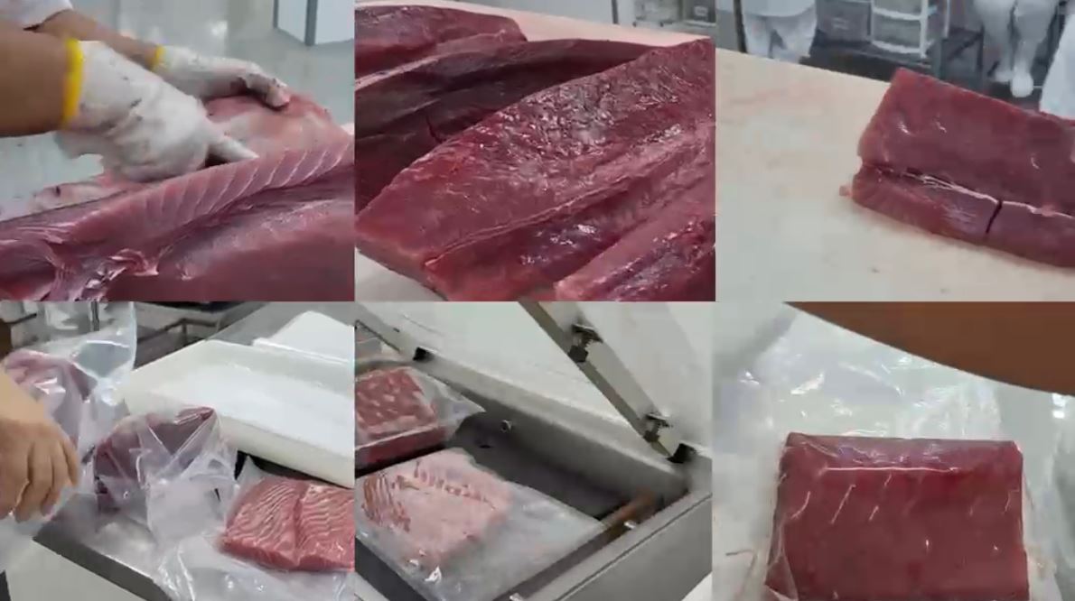 União Europeia inicia avaliação para reabrir mercado de pescado brasileiro