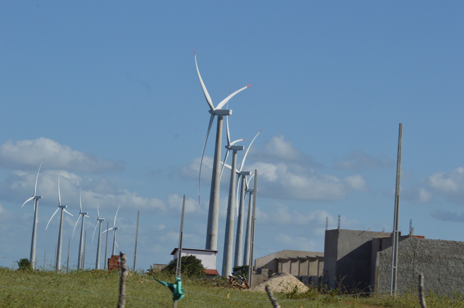 Rio Grande do Norte lidera a corrida pela energia eólica offshore no Brasil