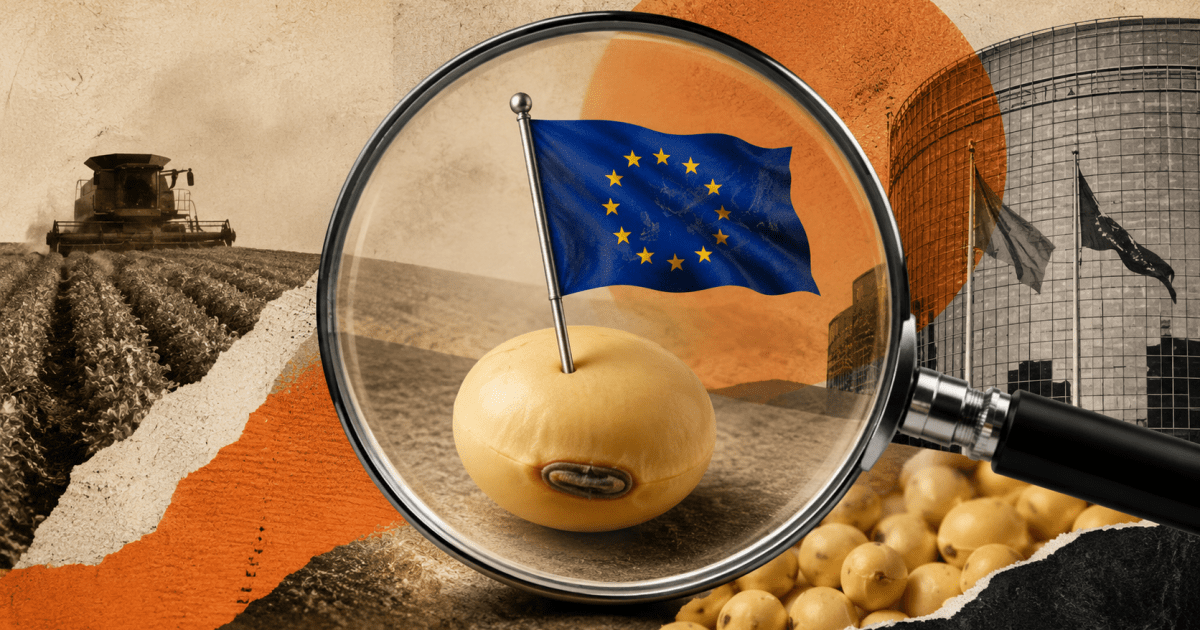 Safra europeia de grãos acumula prejuízo de € 2 bilhões após recorde de calor