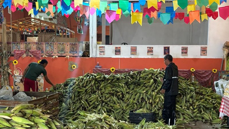 Natal tem espiga de milho a menos de R$ 1,00 para o São João