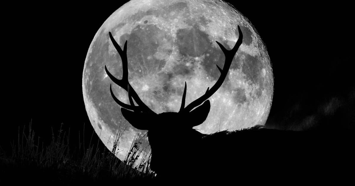 Lua dos Cervos ilumina o céu brasileiro nesta semana