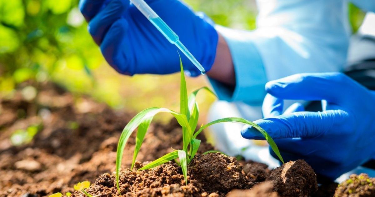 Setor de bioinsumos pressiona por regulamentação da Lei dos Bioinsumos
