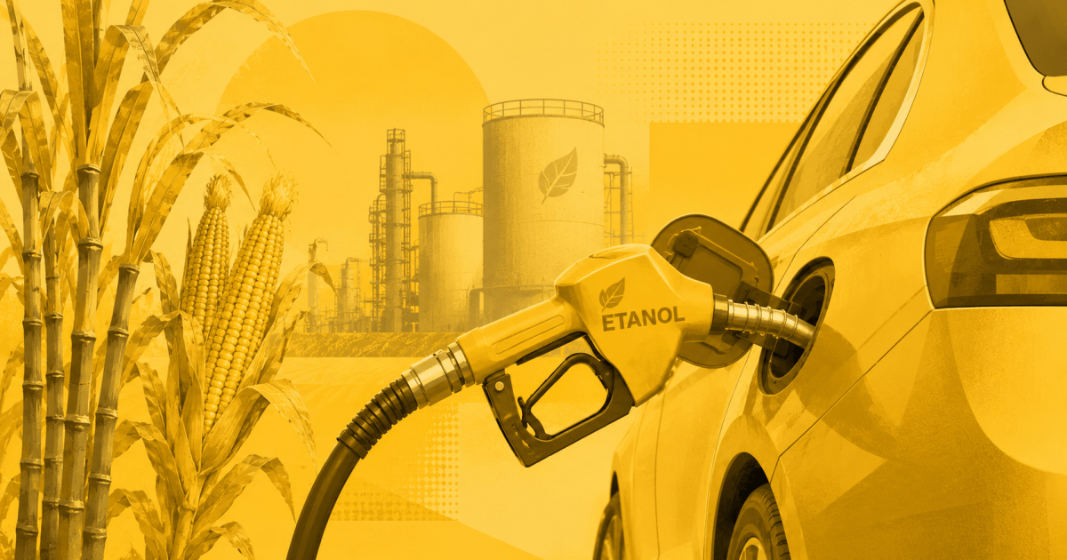 Setor defende aumento do biodiesel para B17 visando fortalecer economia e proteína