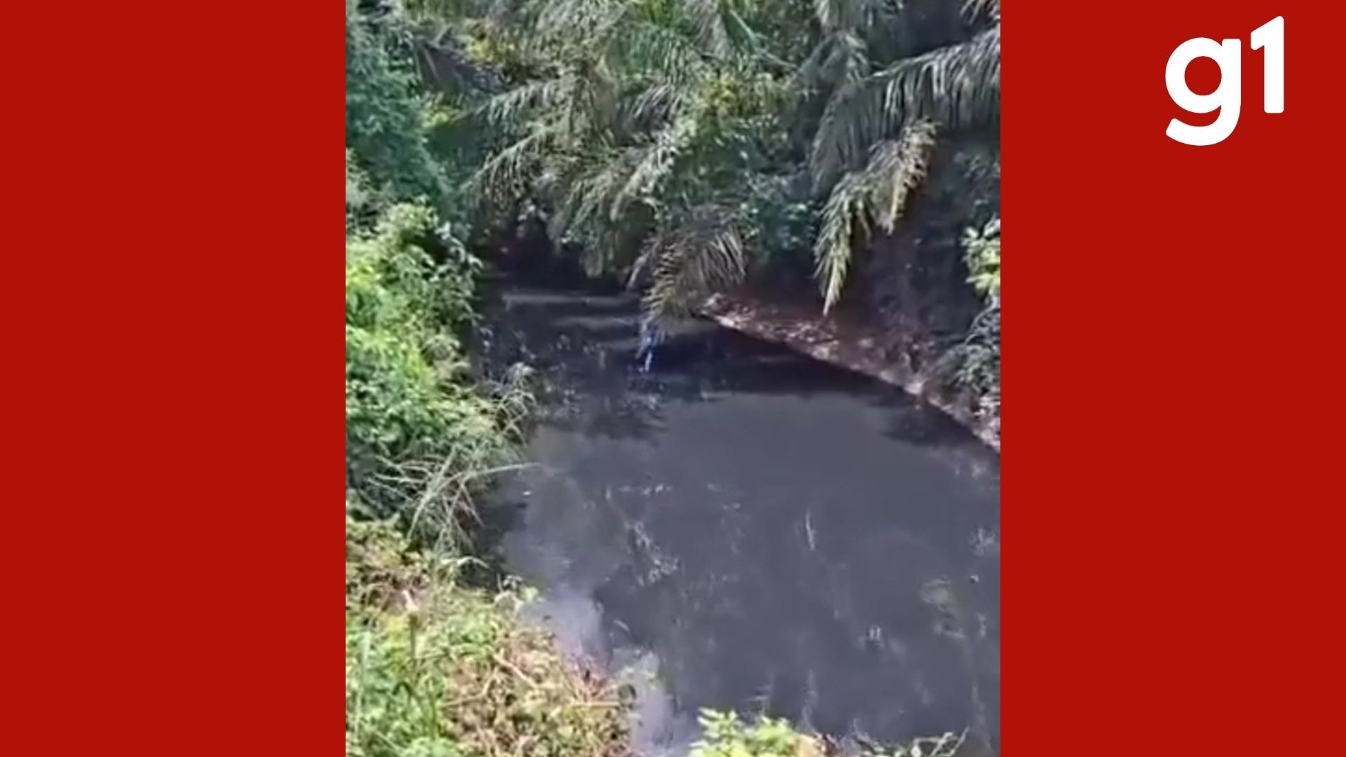 Governo de Mato Grosso homologa emergência ambiental em Mirassol d'Oeste após descarte químico