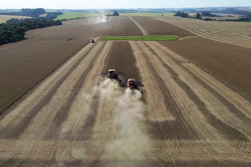 Soja ganha força em Chicago após USDA confirmar demanda robusta