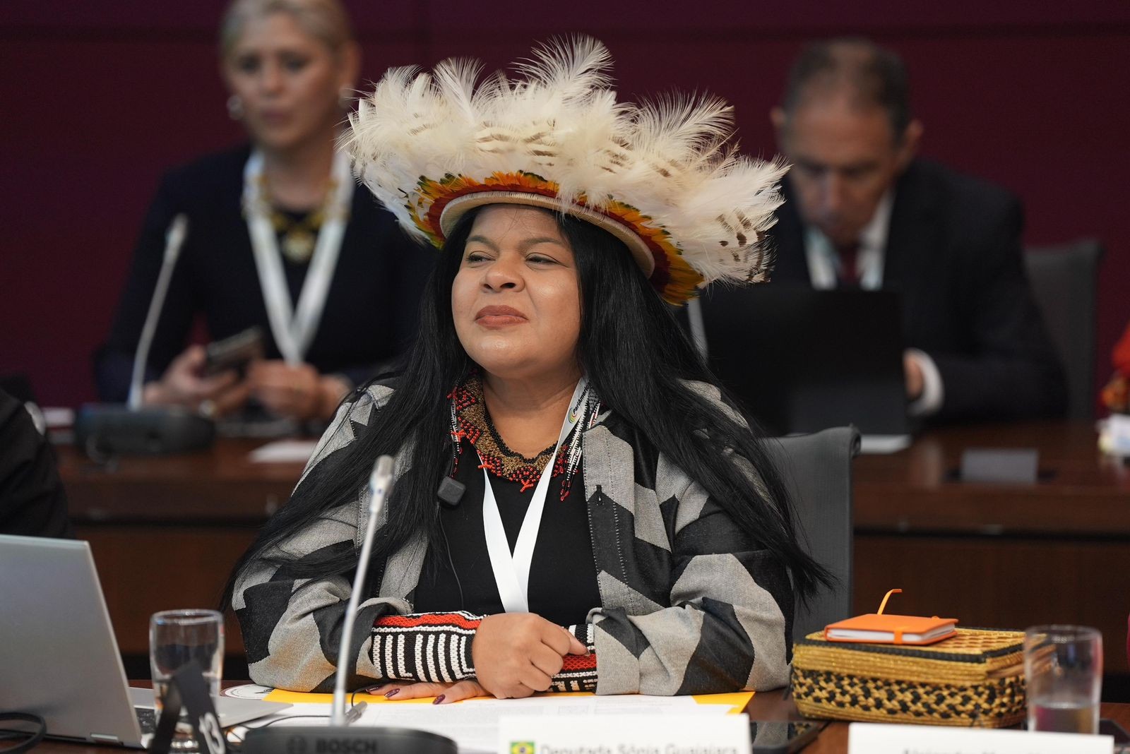 Sonia Guajajara é eleita copresidenta de grupo parlamentar das Américas