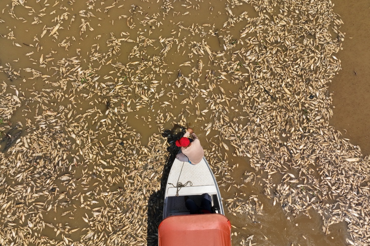 Brasil em alerta com possibilidade de "Super El Niño", fenômeno que já causou secas e enchentes severas