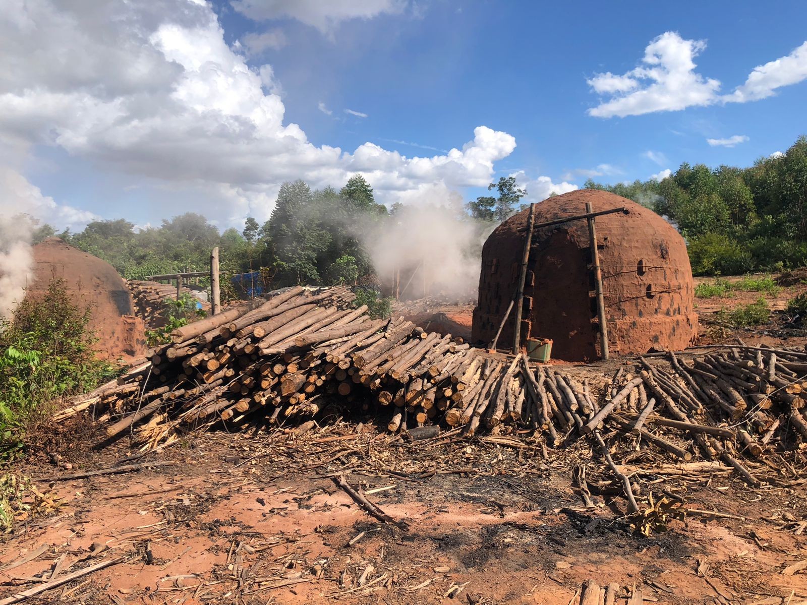 Suspeito é preso após homem ser encontrado morto em forno de carvoaria em Oliveira