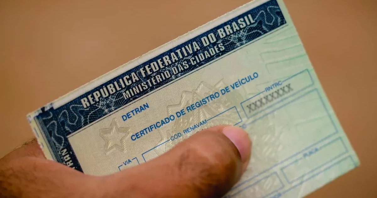 Câmara aprova suspensão da Carteira Nacional de Habilitação para abandono de animais