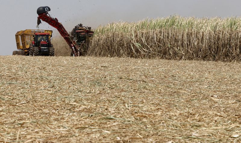 Setores do Agro reforçam presença em Washington para conter tarifas dos Estados Unidos