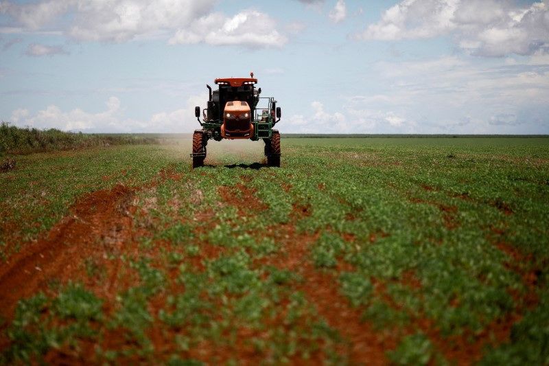 Crise no Estreito de Ormuz eleva custos de fertilizantes no Brasil