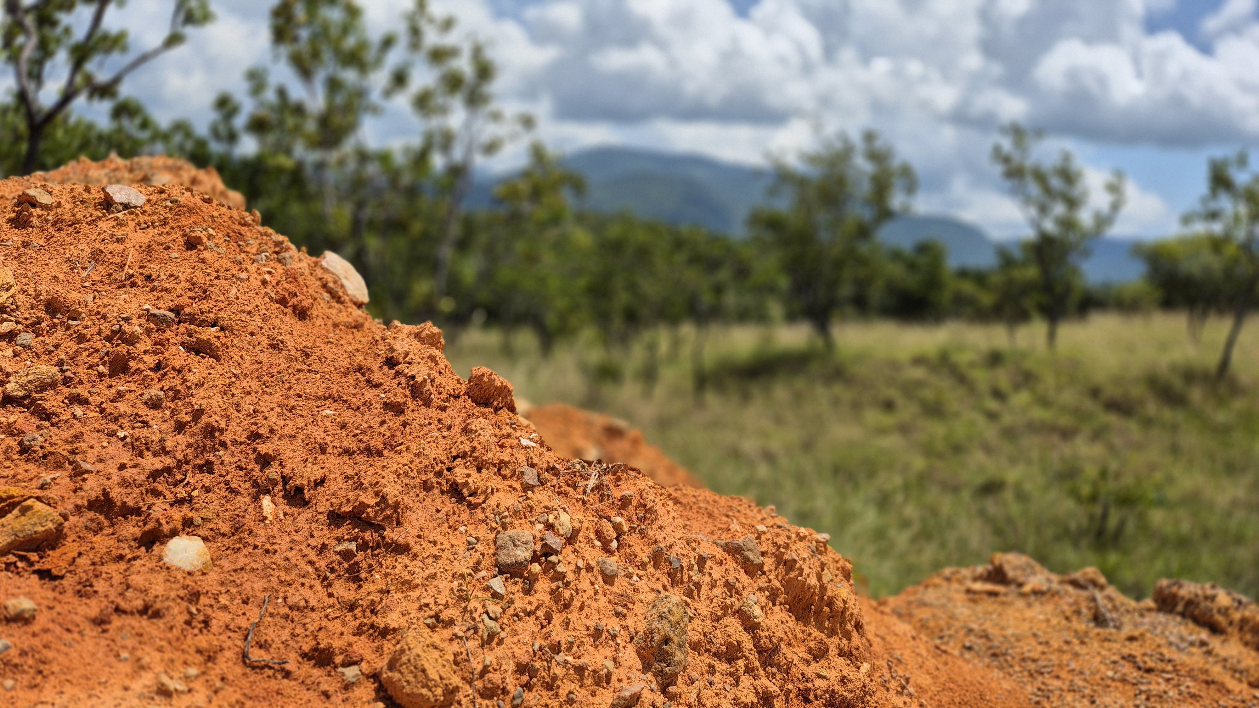 Pesquisadores da UFRR e USP identificam jazida de terras raras em Caracaraí