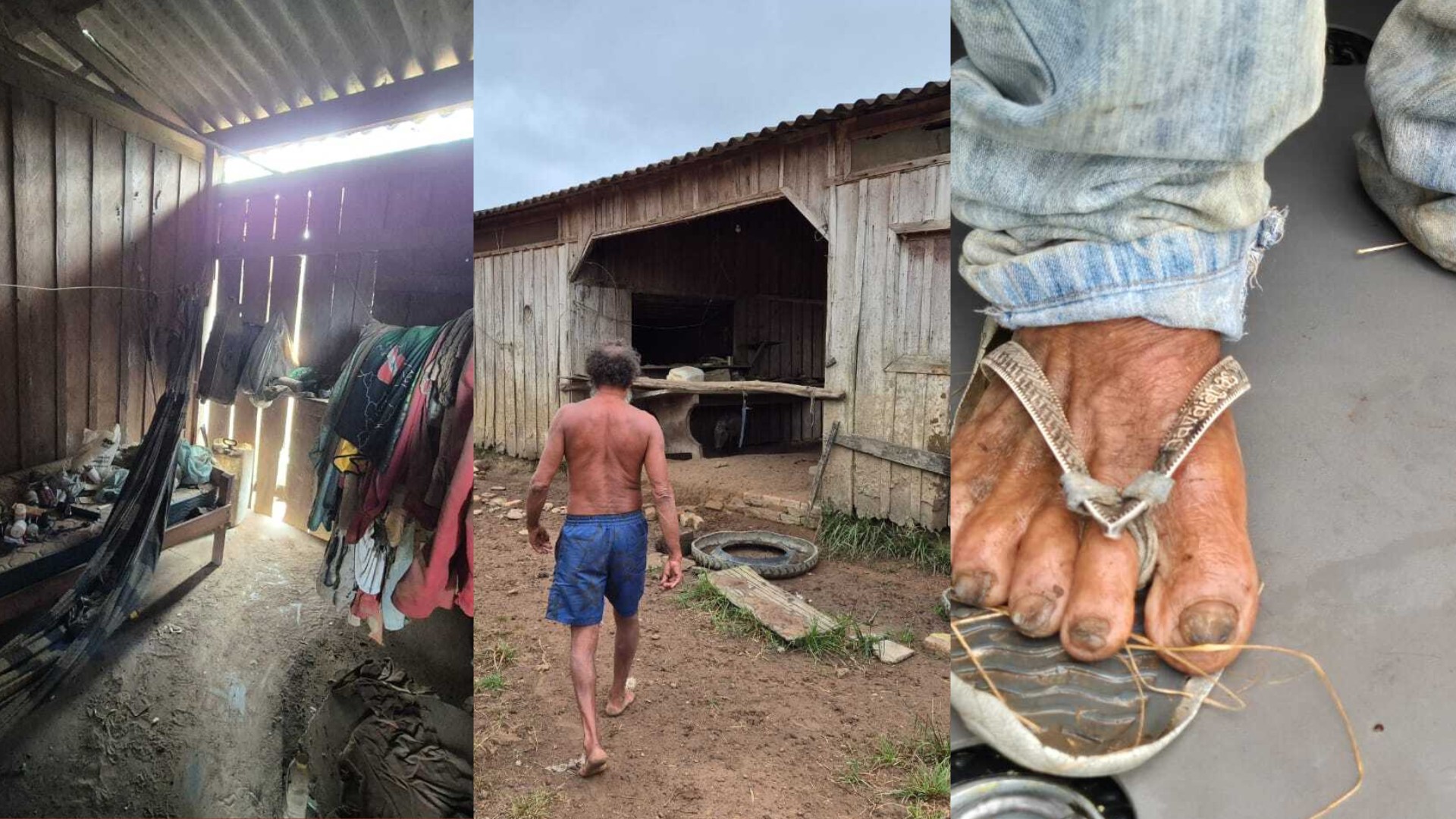 Idoso resgatado de trabalho análogo à escravidão dividia alojamento com animais no Pará