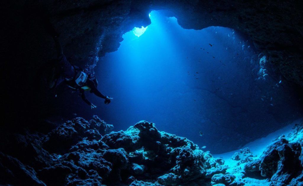 Tratado do Alto-Mar entra em vigor e impulsiona proteção dos oceanos