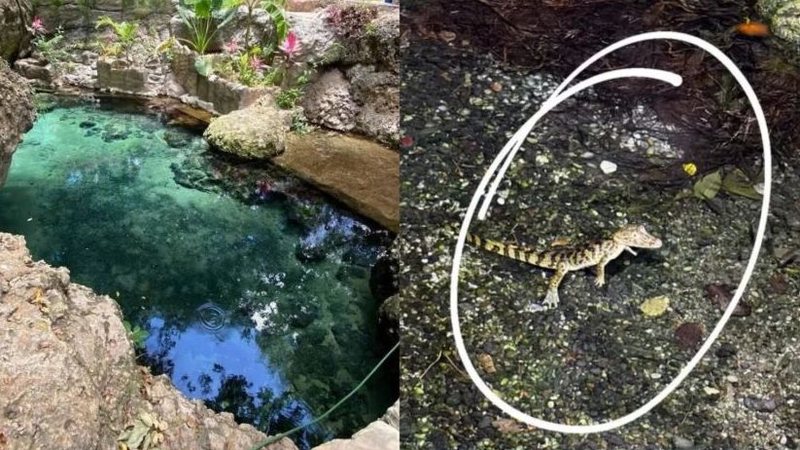 Prefeitura de Pureza suspende banho no Olheiro após identificação de jacaré
