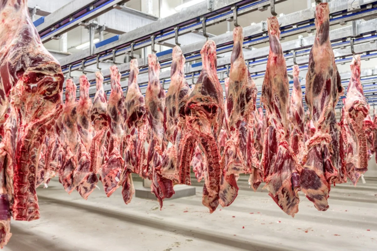 União Europeia suspende importações de carne e outros produtos do Brasil