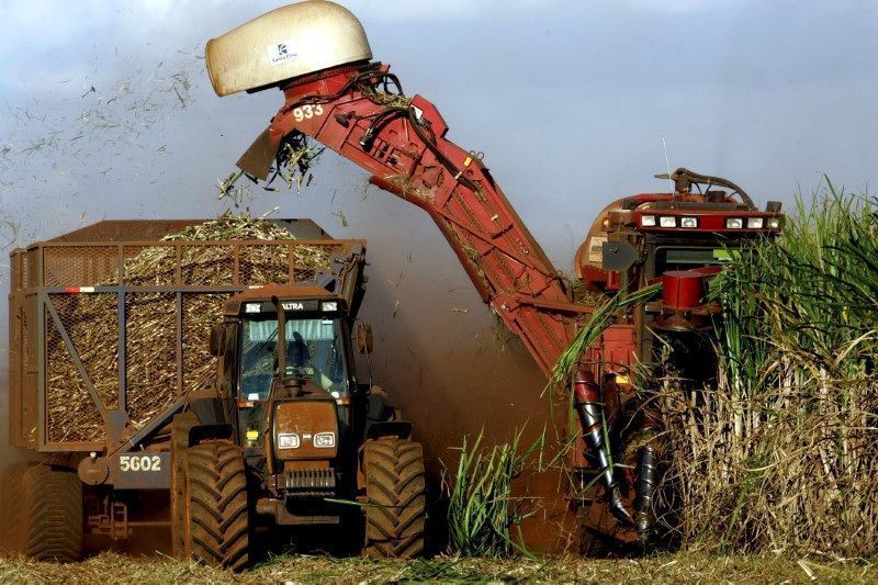 Usinas do Nordeste registram ganho de produtividade com gotejamento