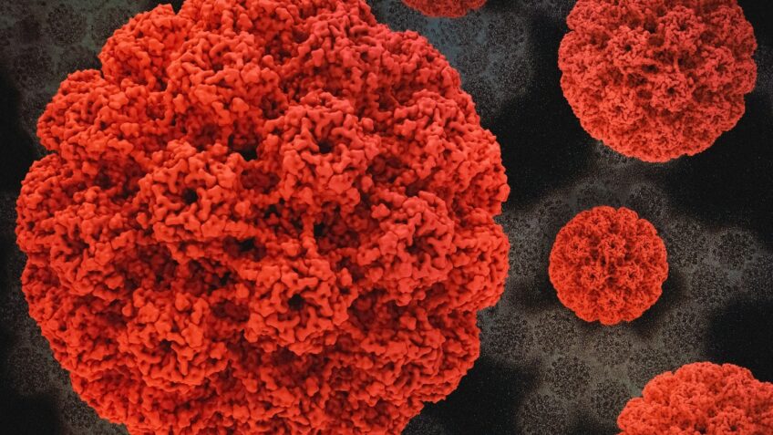Universidade Northwestern avança com vacina contra câncer de HPV
