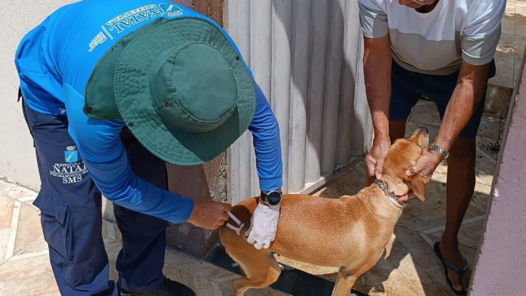 Prefeitura do Natal intensifica Campanha de Vacinação Antirrábica