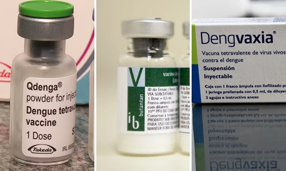 Vacinas contra a dengue: entenda quem pode e quem fica de fora das aplicações