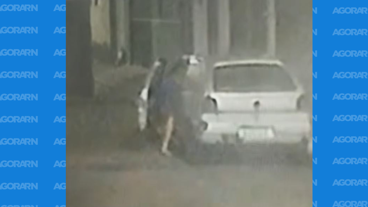 Criminoso furta Volkswagen Gol em frente à residência em Natal