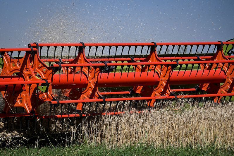 Produtores argentinos seguram vendas de trigo diante de preços em queda