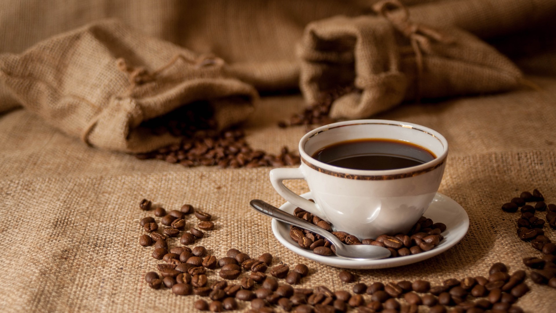 Relatório da Coffee Watch alerta para uso massivo de pesticidas na produção mundial de café, expondo trabalhadores