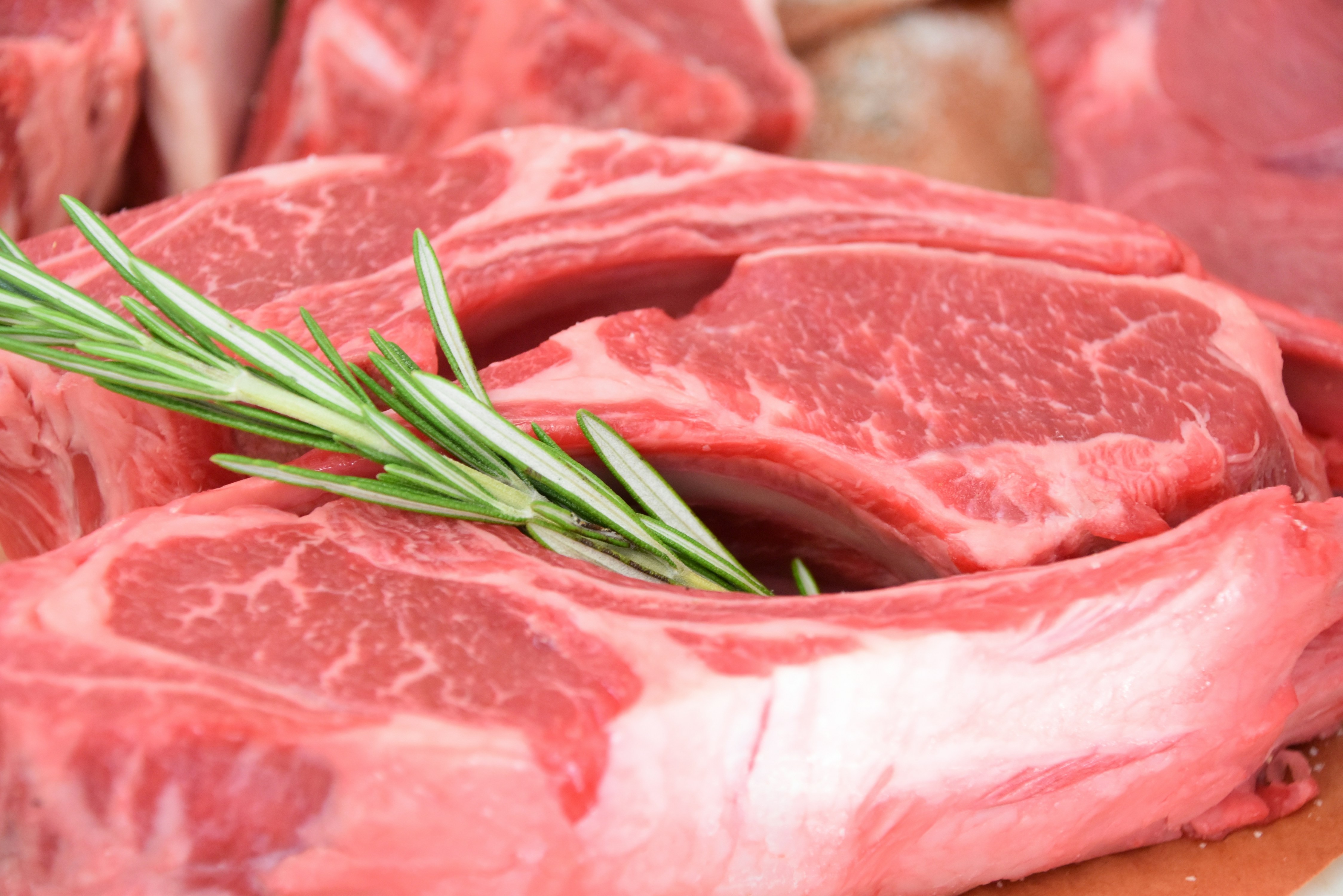 Veto da União Europeia impacta exportações de carne e mel do Brasil