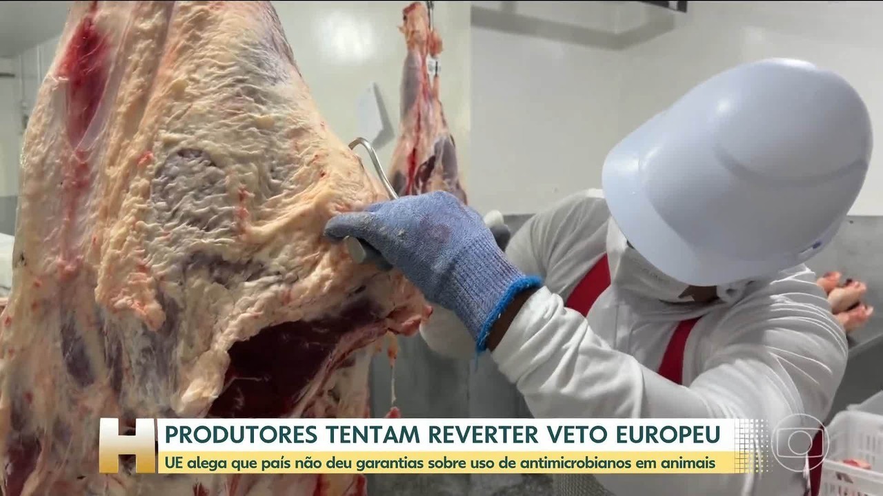 União Europeia veta carne bovina do Brasil; Rondônia não será impactada