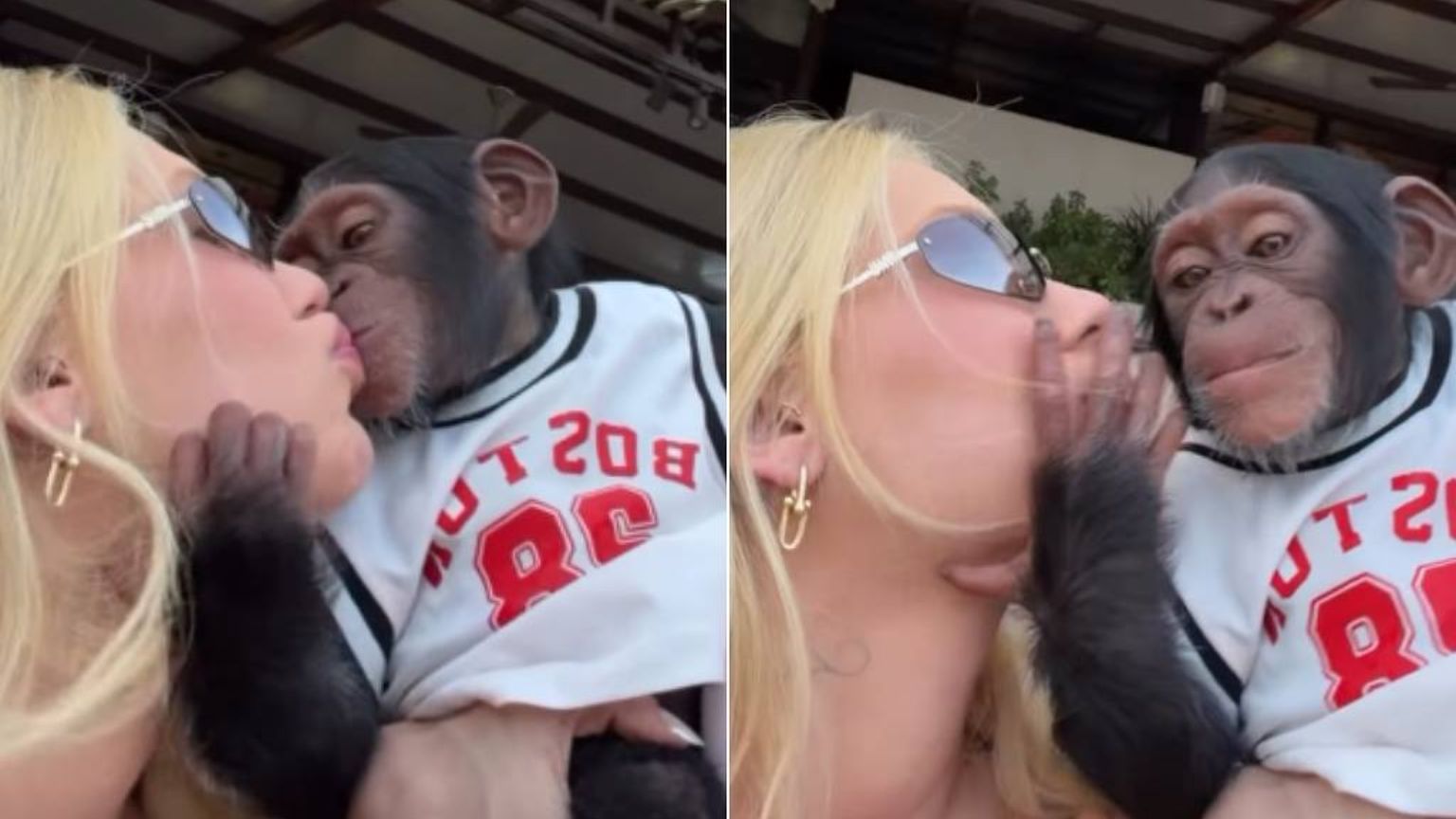 Virginia Fonseca beija macaco em vídeo e desencadeia ataques racistas contra Vini Jr.