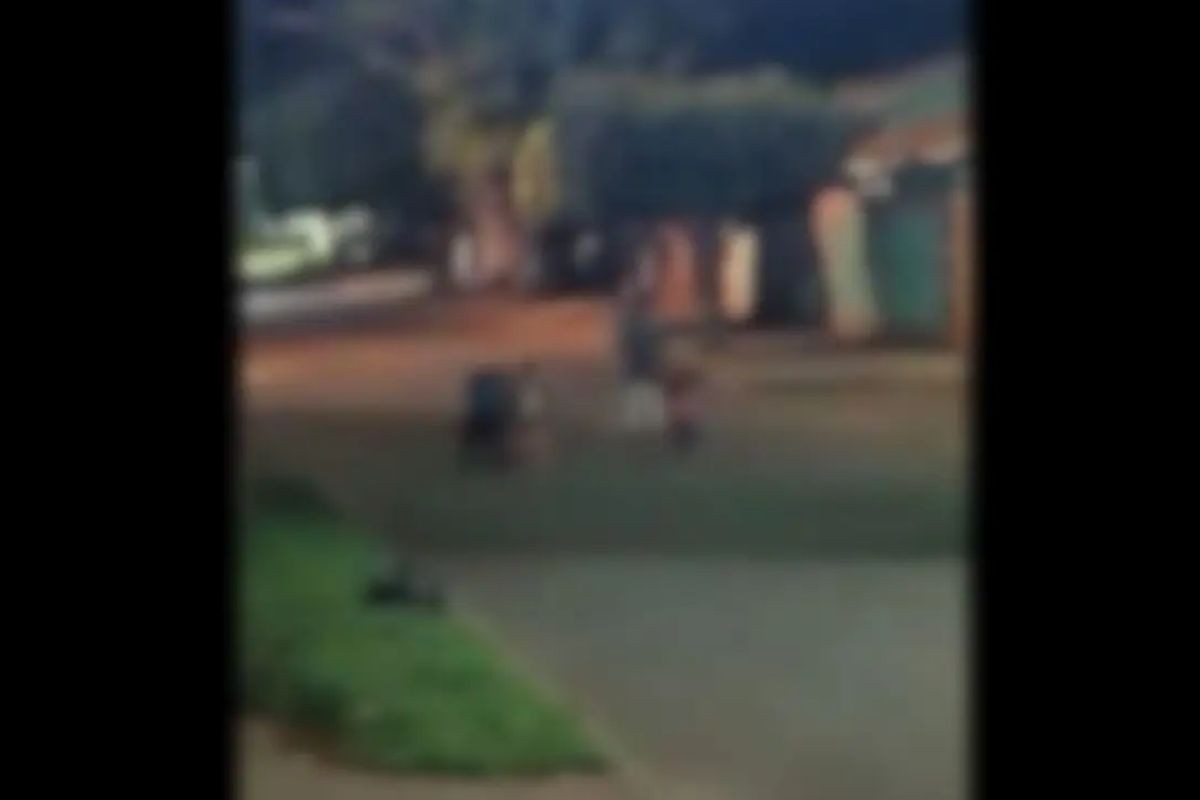 Conselho Tutelar acolhe três irmãos após agressões em Maracaju