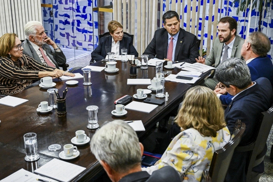 Zenaide participa de reunião de alto nível para discutir proteções à economia brasileira frente a guerras no mundo