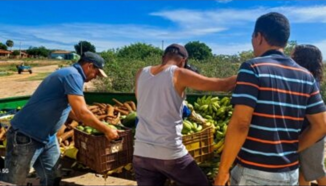 Prefeitura de Assú abre cadastramento de agricultores familiares para programa de aquisição de alimentos a partir da próxima terça (18)