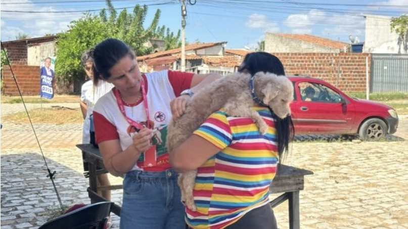 Prefeitura do Assú vacina 2300 animais contra a raiva em um dia
